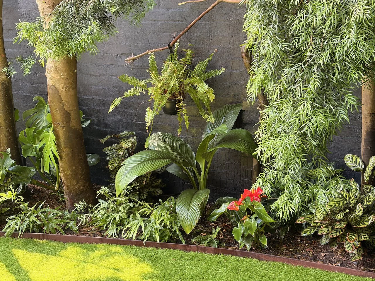 bondi-bed-detail-boston-fern-oct2025.jpg