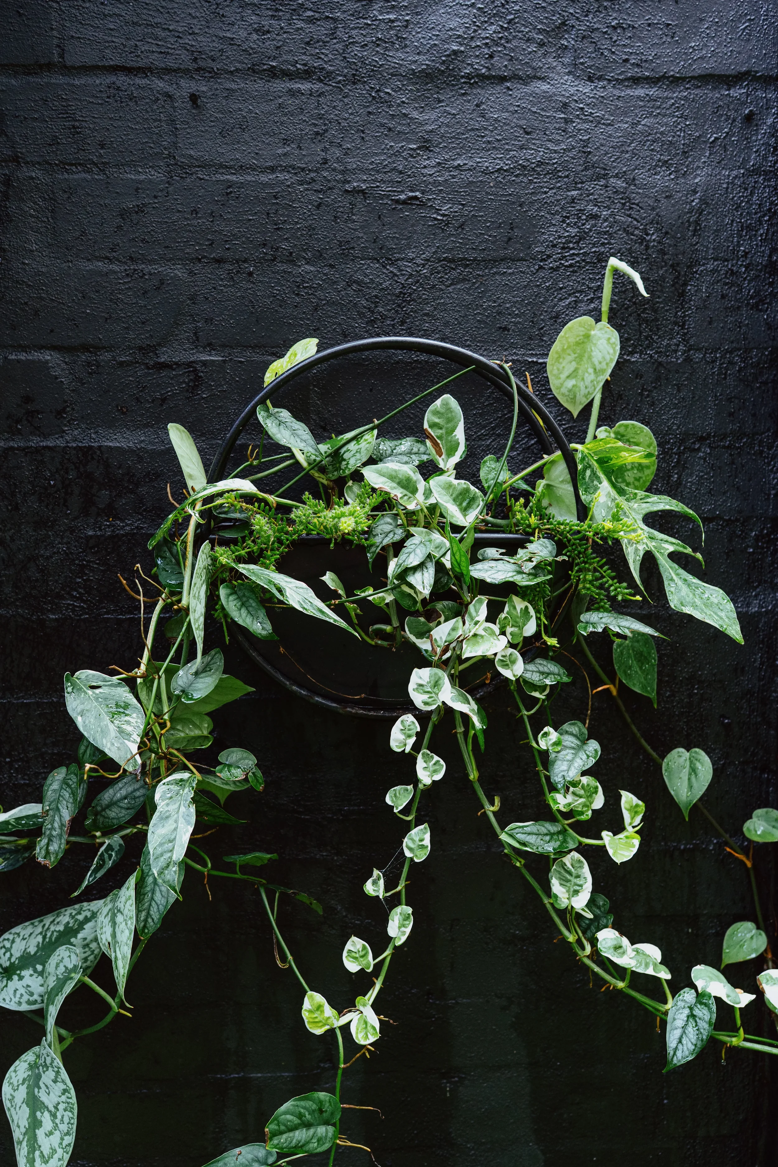 garden design sydney