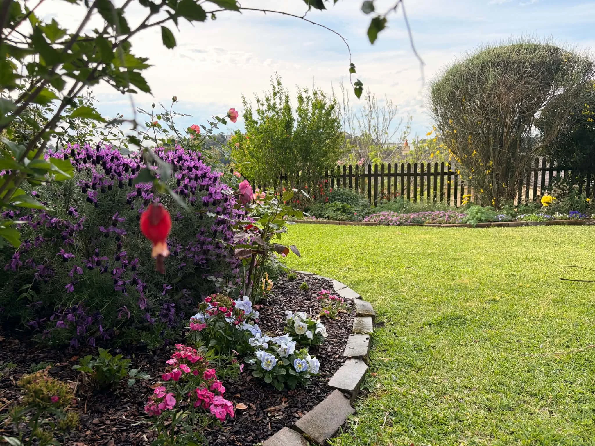 purple-pink-flower-bed-picket-fence.jpg