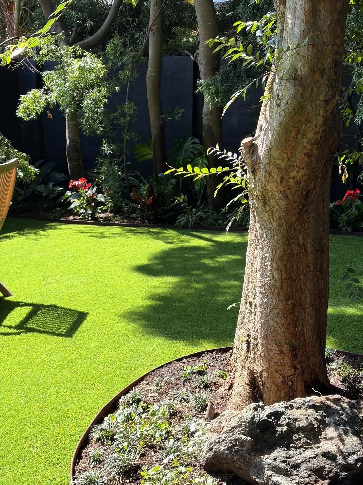 bondi-turf-corten-ring-tree-trunk.jpg