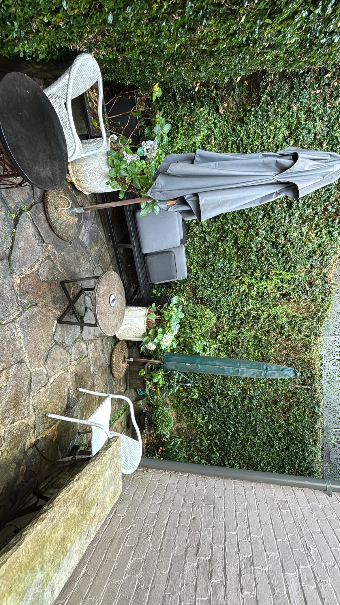 woollahra-courtyard-hedge-walls-wicker.jpg