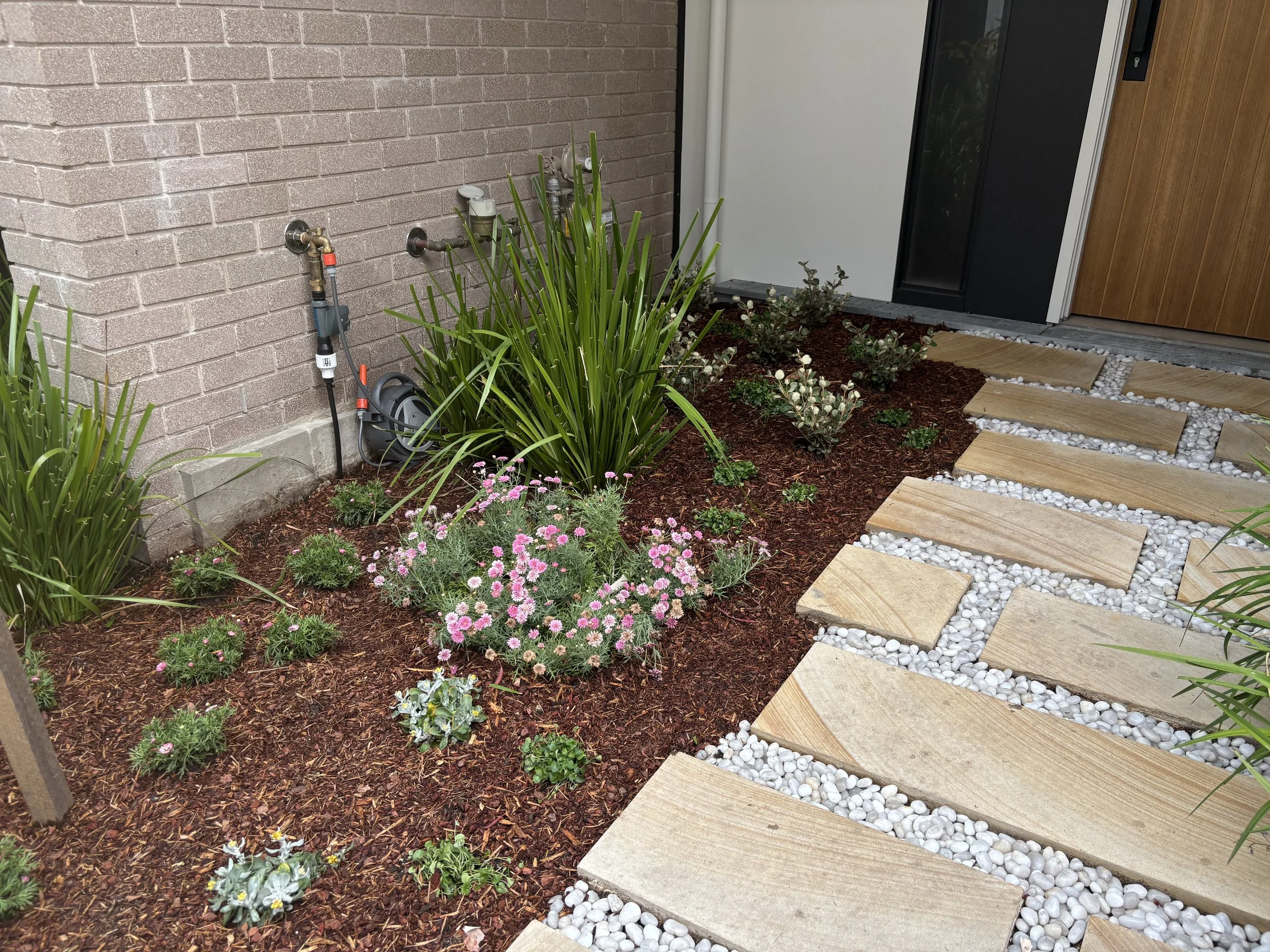 willoughby-bed-corner-daisies-after-oct2025.jpg