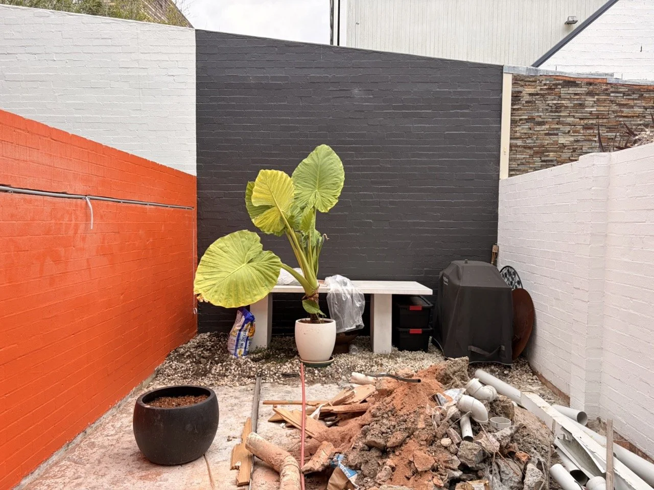 surry-hills-bare-courtyard-wide-before.jpg