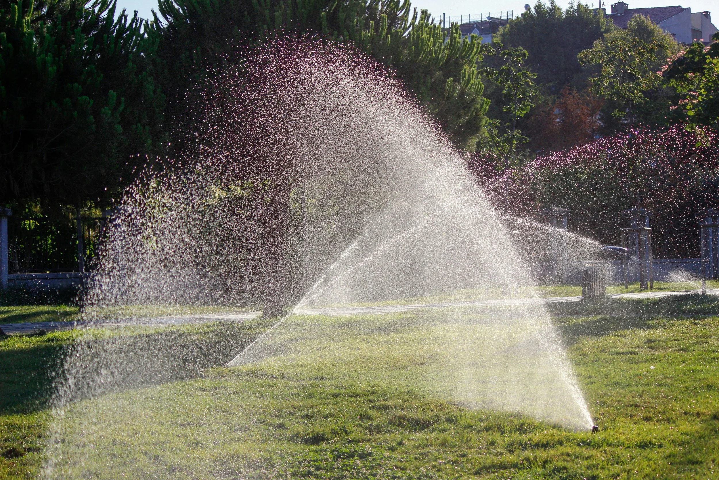 Sprinkler irrigation system watering lawn in residential garden