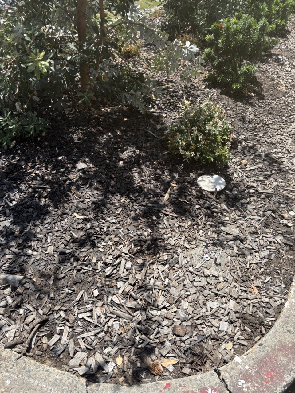 botany-mulch-irrigation-valve-feb2026.jpg