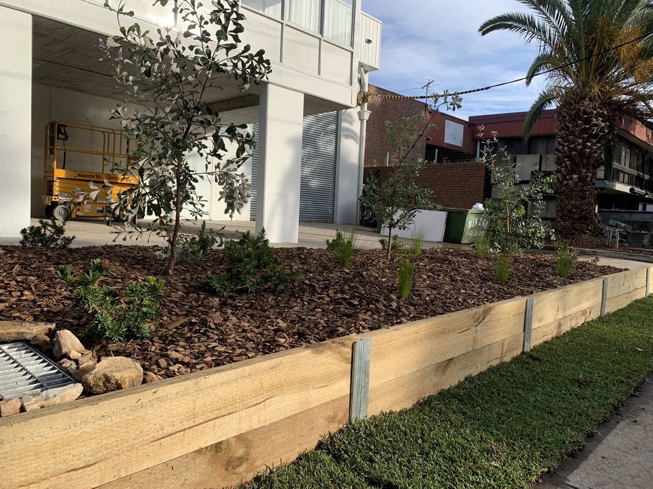 botany-sleeper-wall-turf-strip-after-may2024.jpg