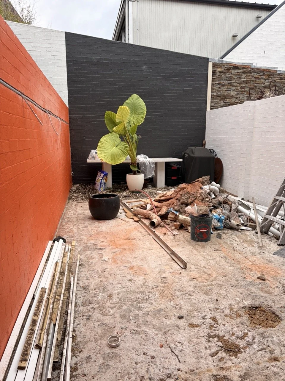 surry-hills-courtyard-orange-wall-before.jpg