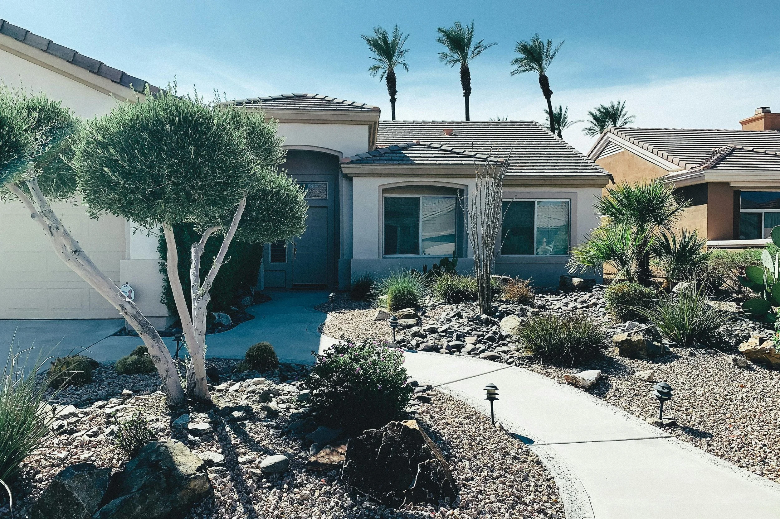 Sydney xeriscape landscaping with drought-tolerant shrubs and trees