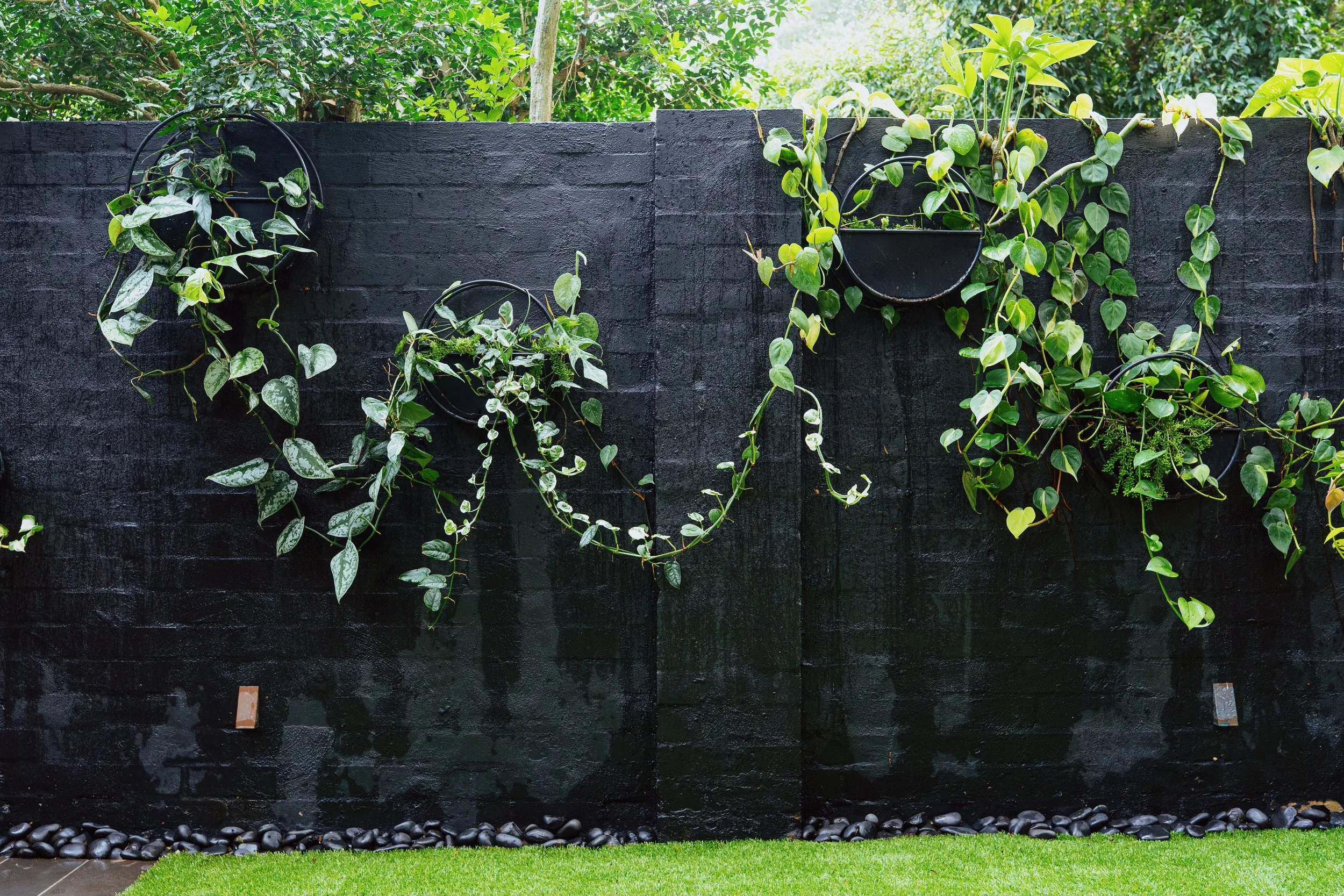 bondi-courtyard-black-wall-ring-planters.jpg