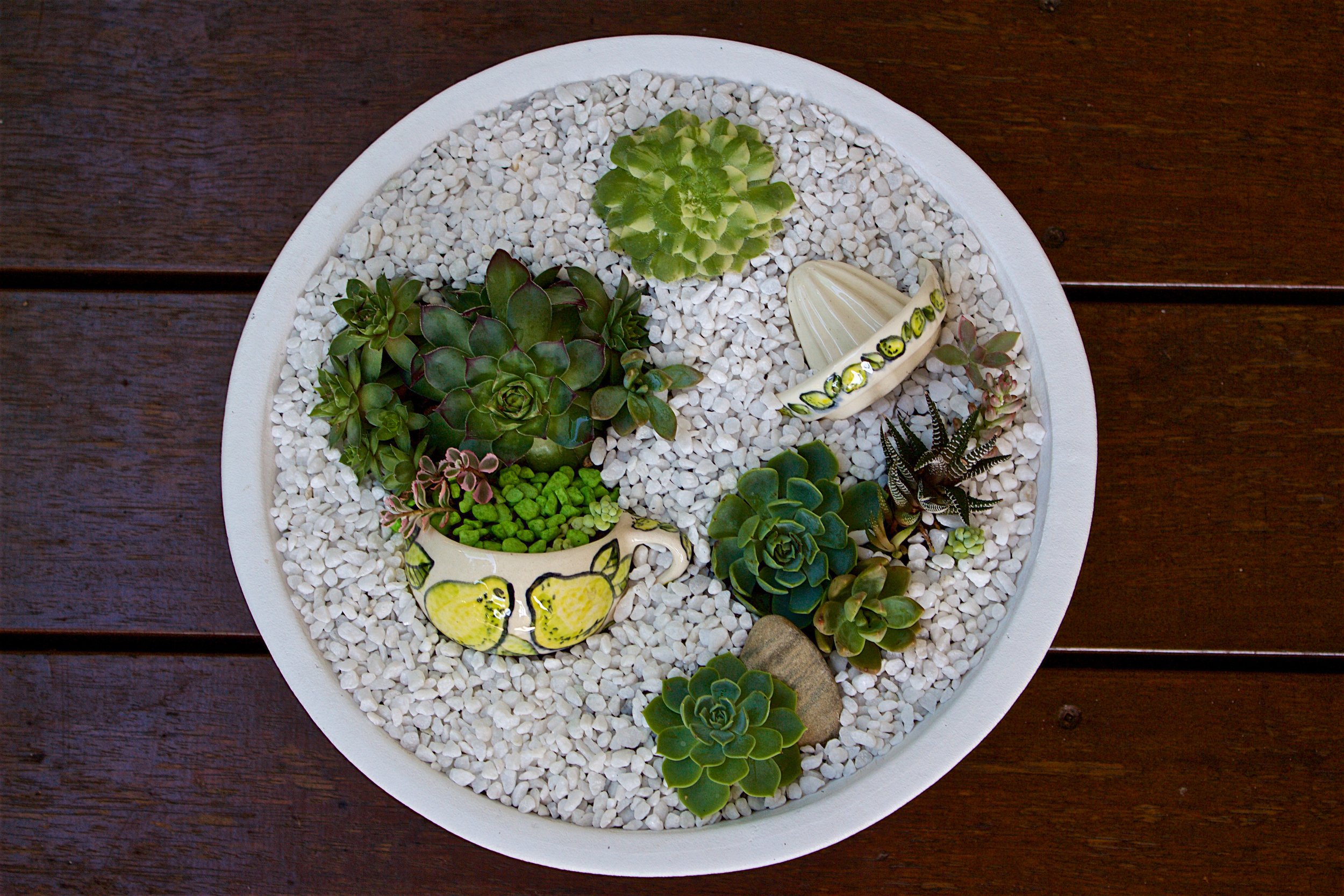 succulent-dish-garden-lemon-jug.jpg