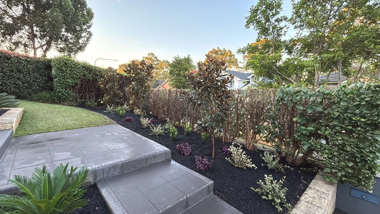 castle-hill-hedge-line-bed-planted-during.jpg