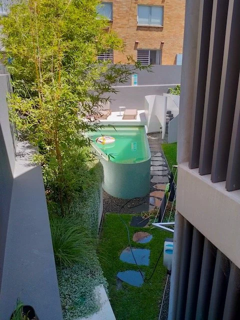 clovelly-plunge-pool-side-garden-bamboo.jpg