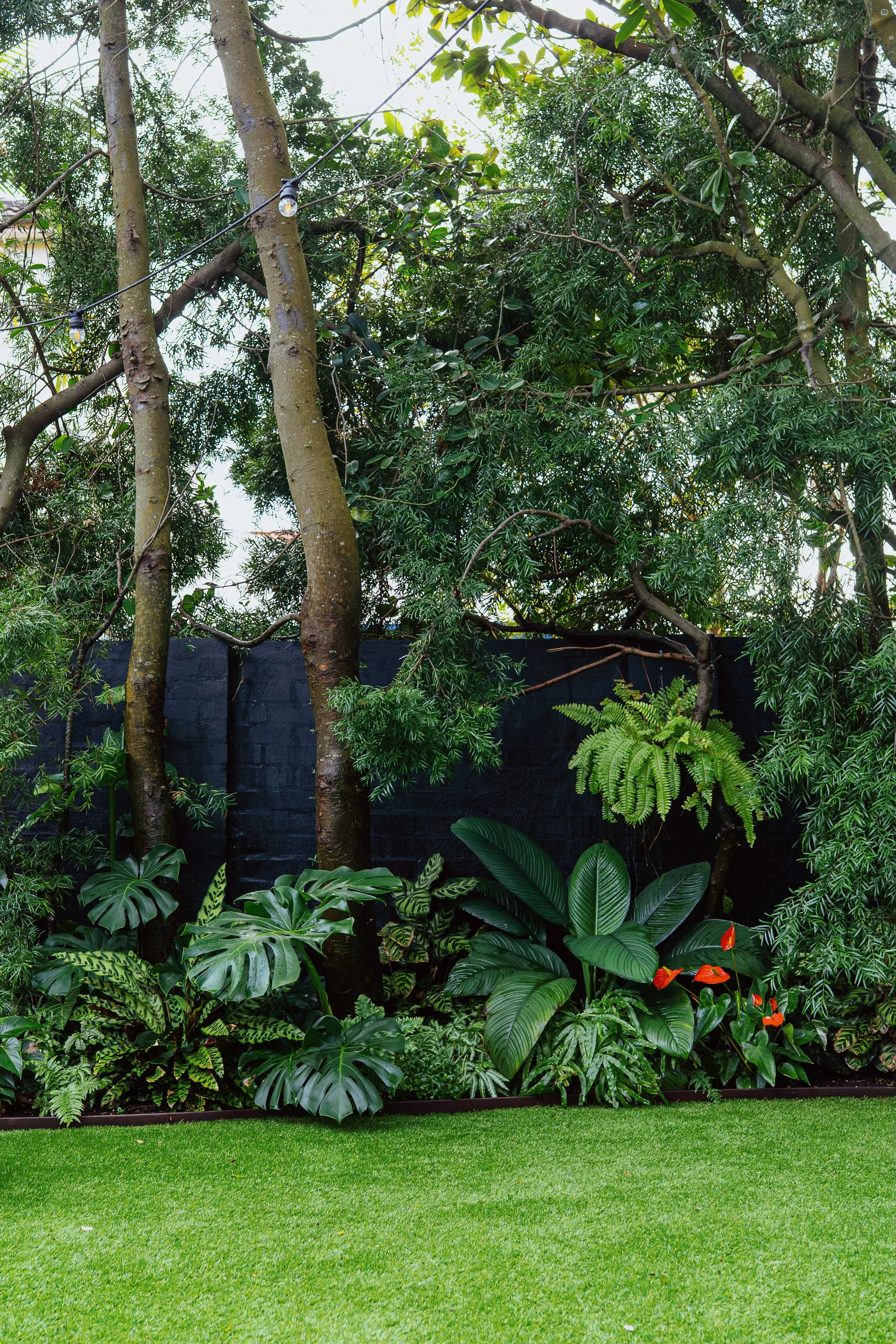 bondi-corten-bed-monstera-fishbone-fern.jpg