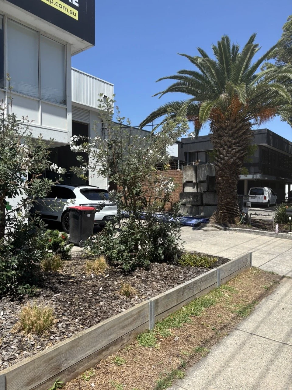 botany-streetscape-frontage-beds-feb2026.jpg