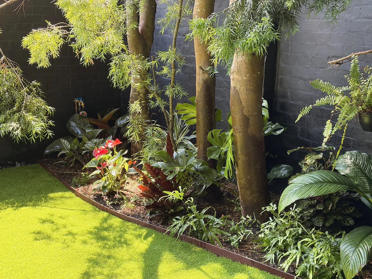 bondi-tropical-bed-corten-edging-oct2025.jpg