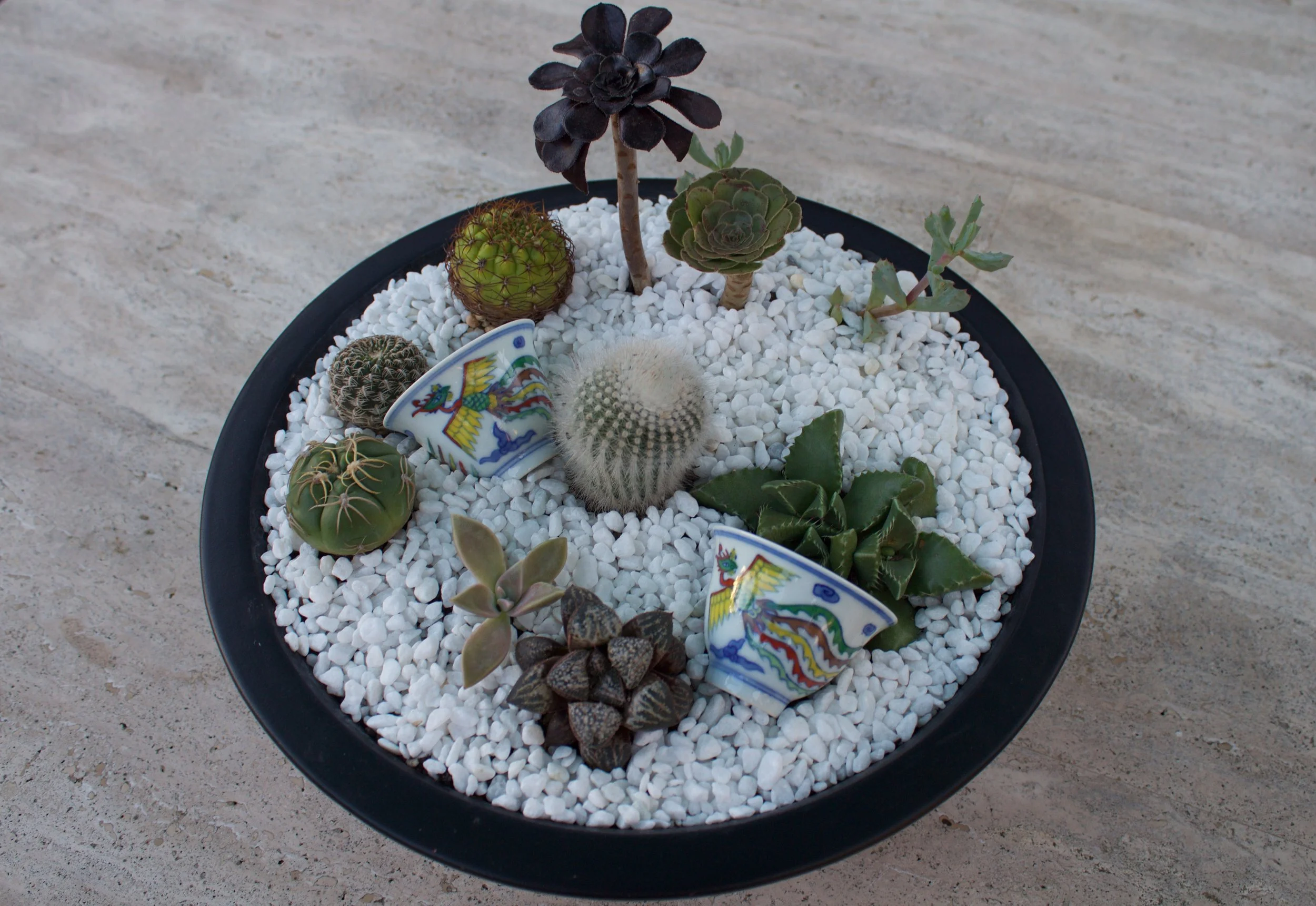 succulent-dish-garden-phoenix-teacups.jpg
