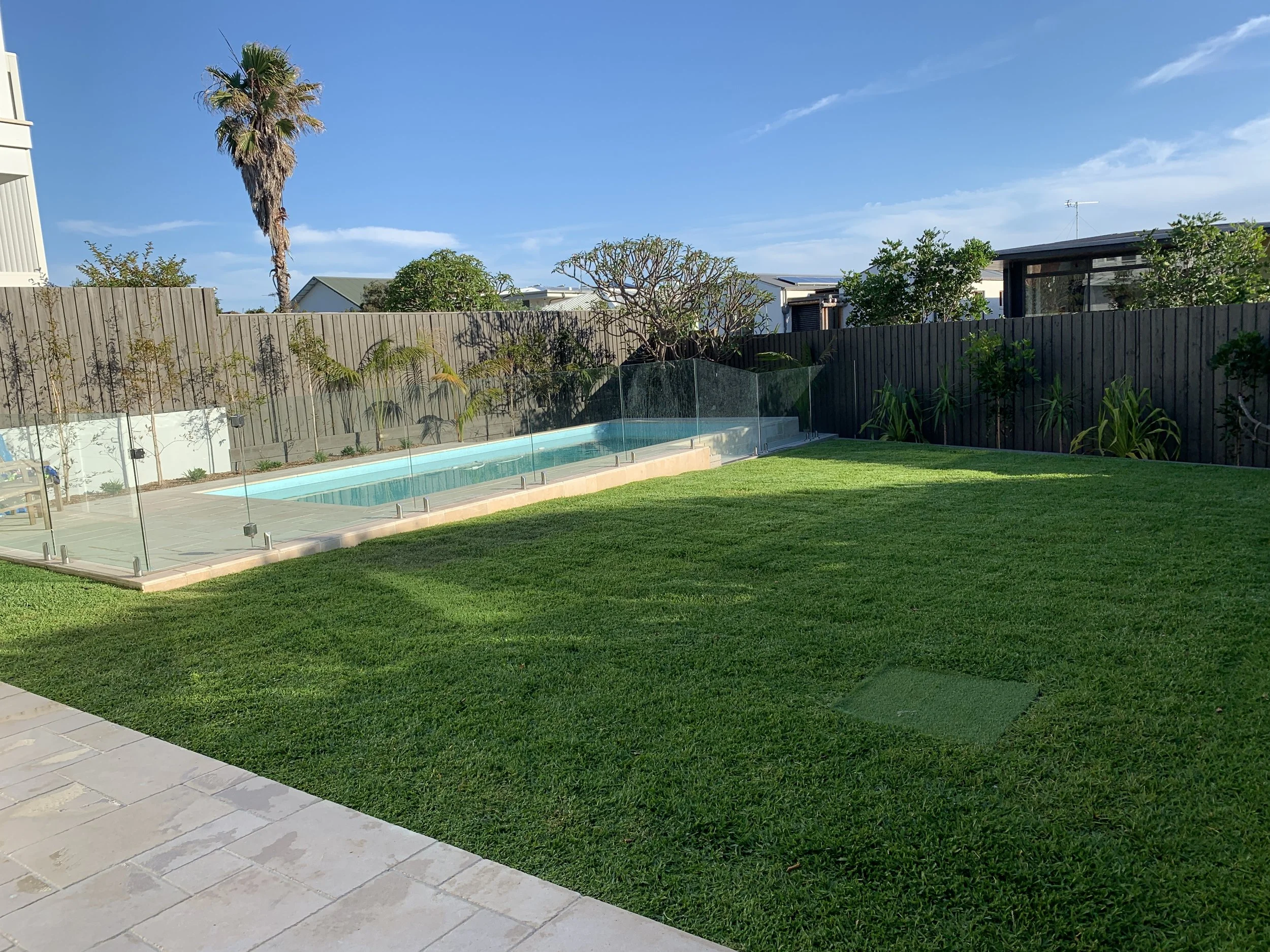 backyard-turf-lap-pool-travertine.jpg