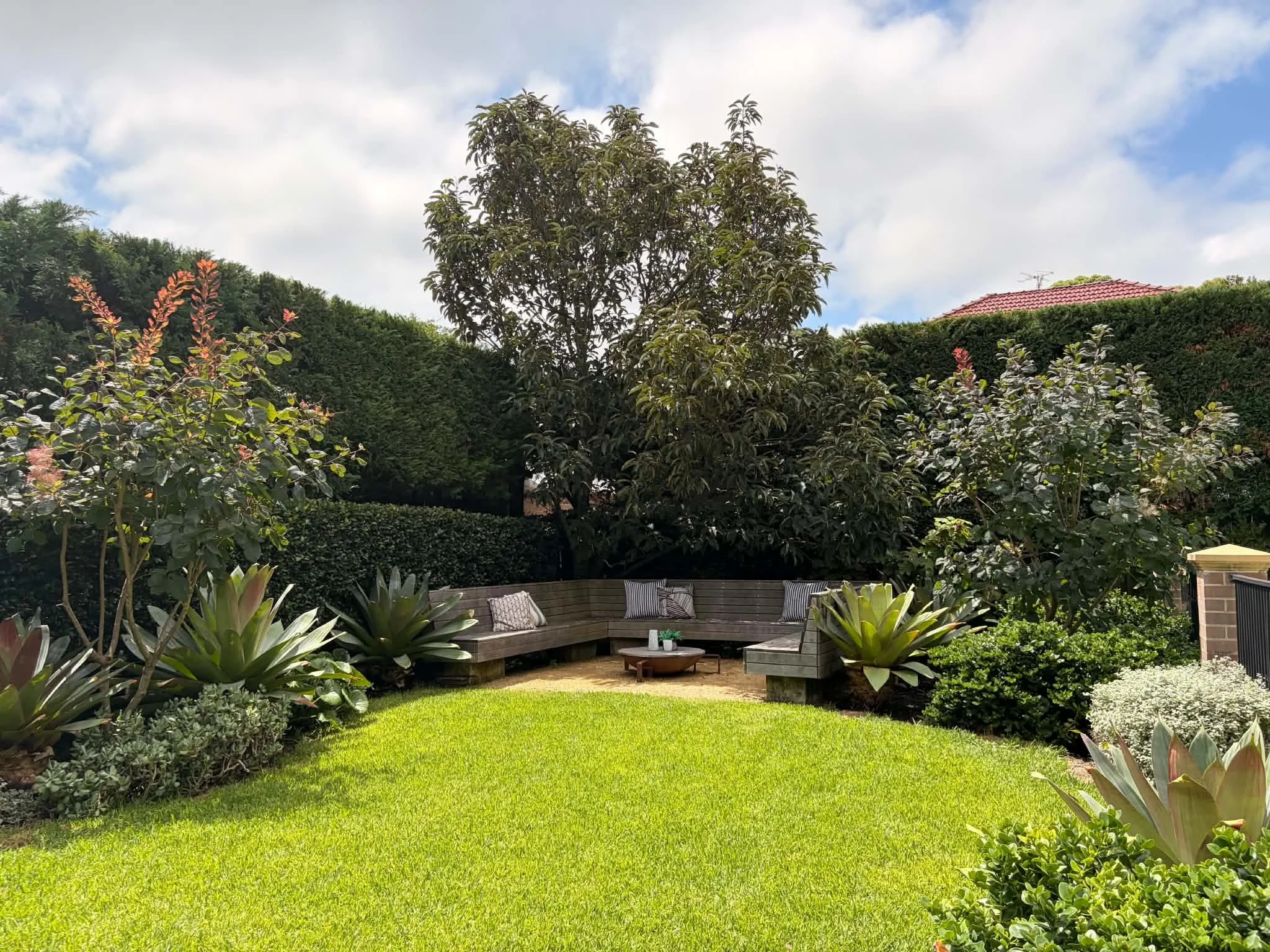 lawn-clipped-hedge-border-hills-view.jpg
