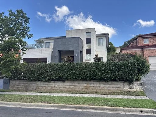 Before — the viburnum hedge completely concealing the house from the street