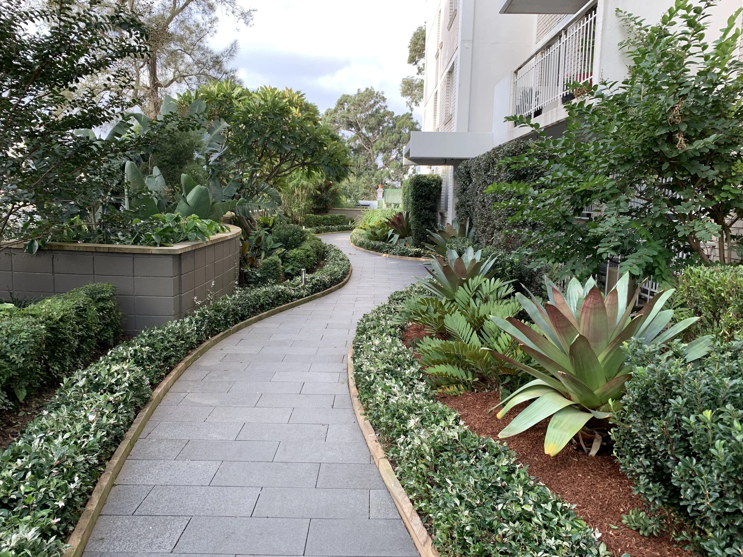 strata-apartment-garden-path.jpg