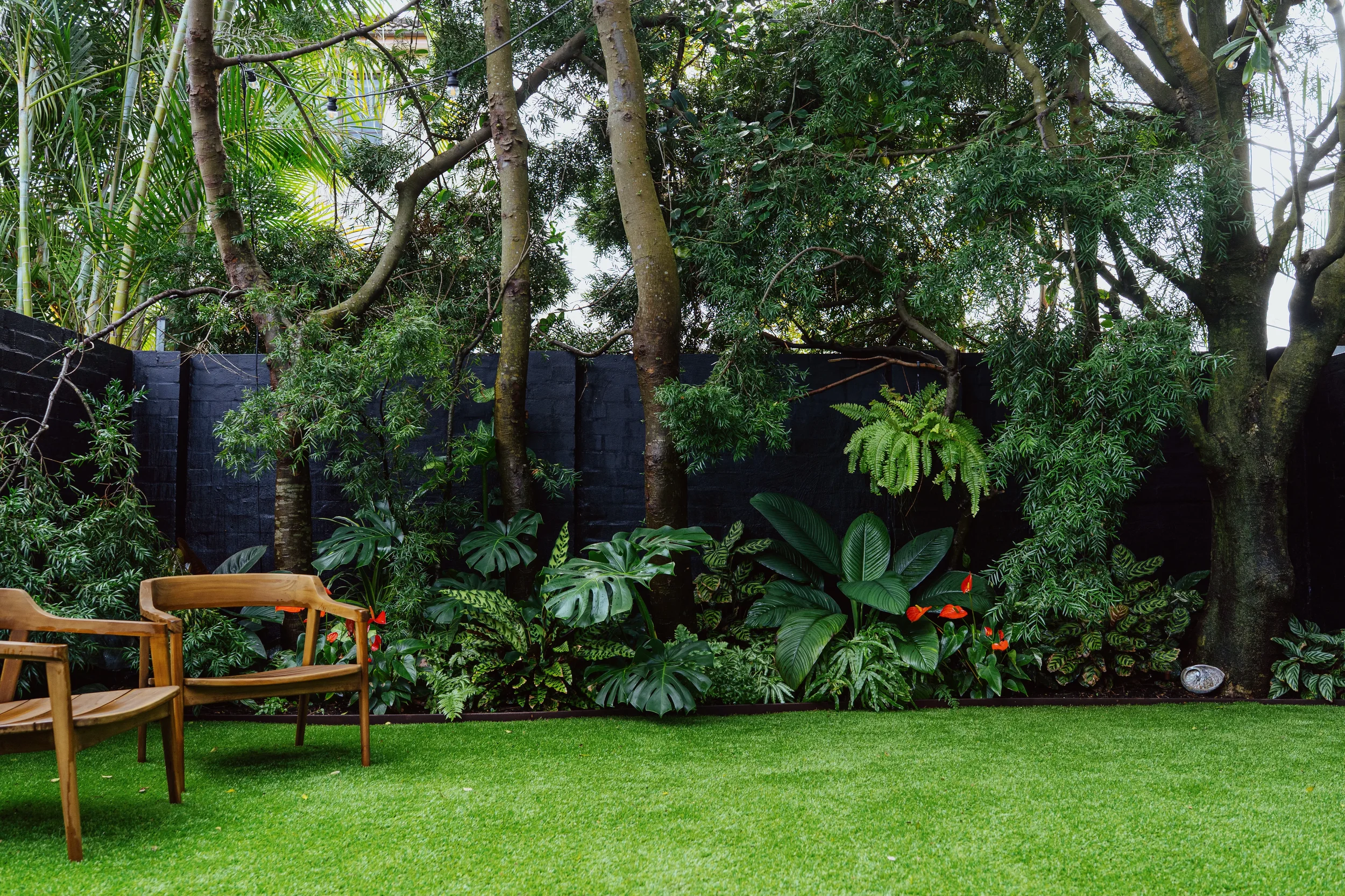 softscaping-bondi-full-courtyard-black-wall-overview (1).webp