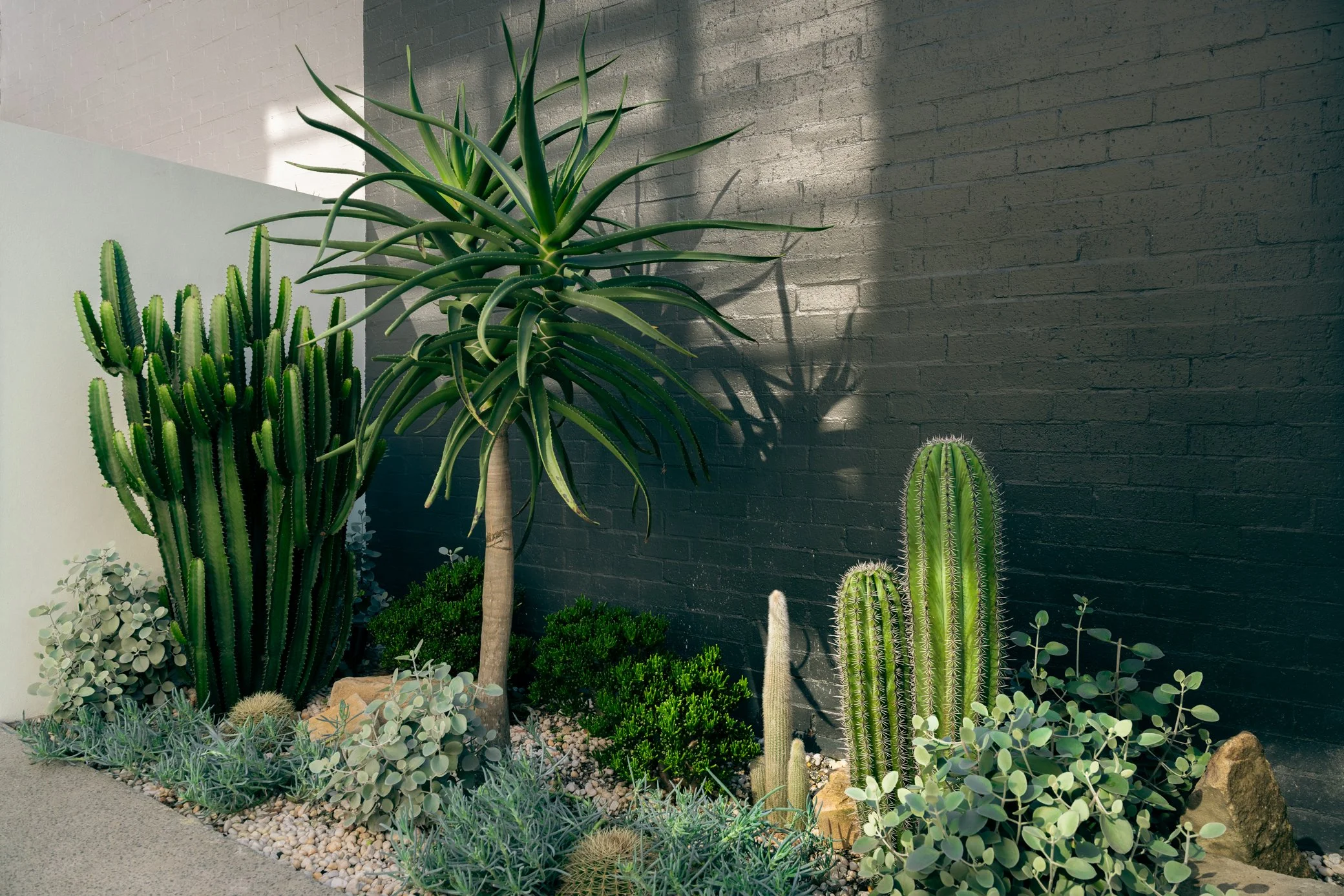 A landscaped garden with wooden pathways, bright yellow and green plants, decorative rocks, and garden ornaments including a red ladybug sculpture and a ladybug-shaped garden ornament.
