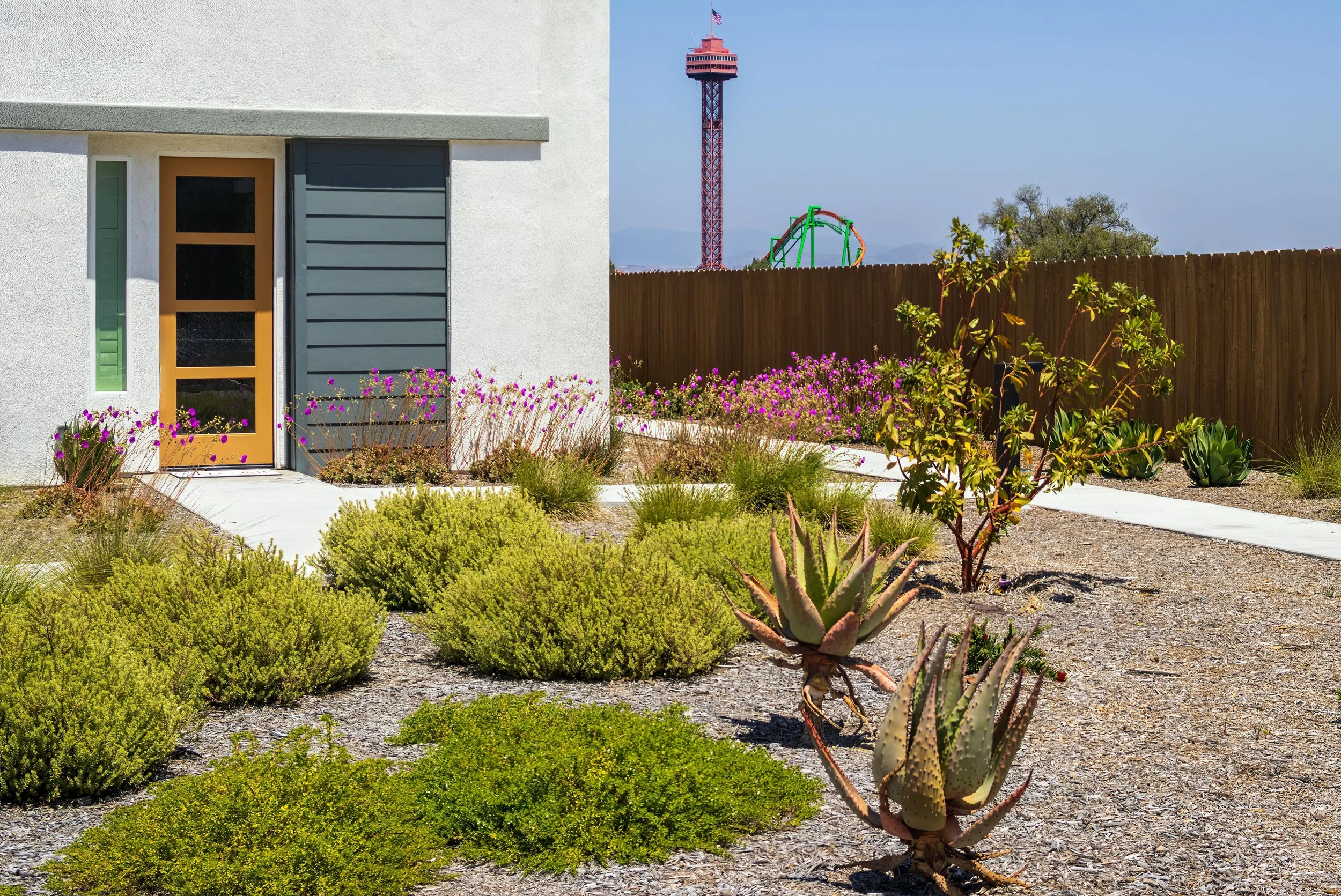 Kerb appeal landscaping with shrubs, succulents and neat front walkway