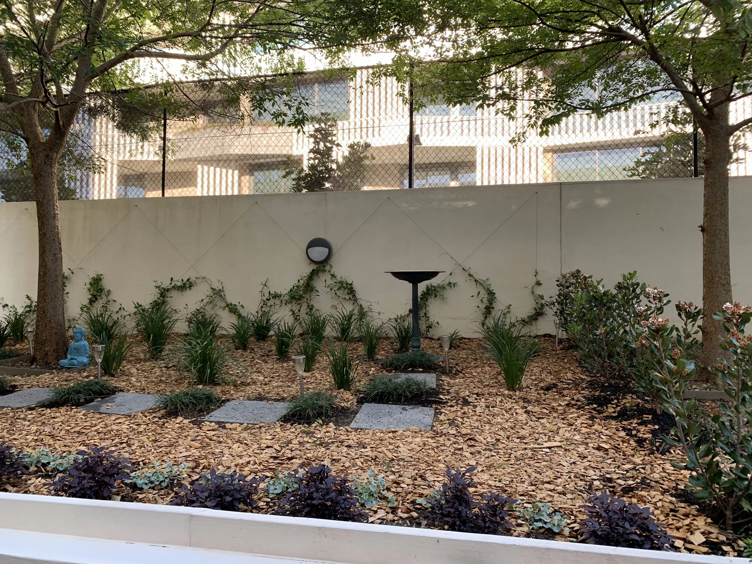 randwick-courtyard-birdbath-framed-trees.jpg