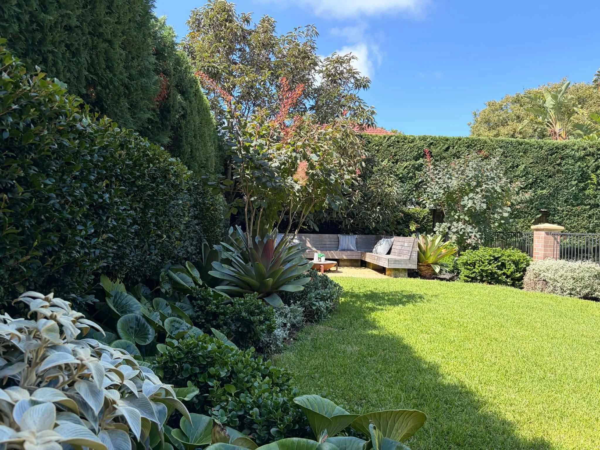 sandstone-bed-agapanthus-hedge-lawn.jpg