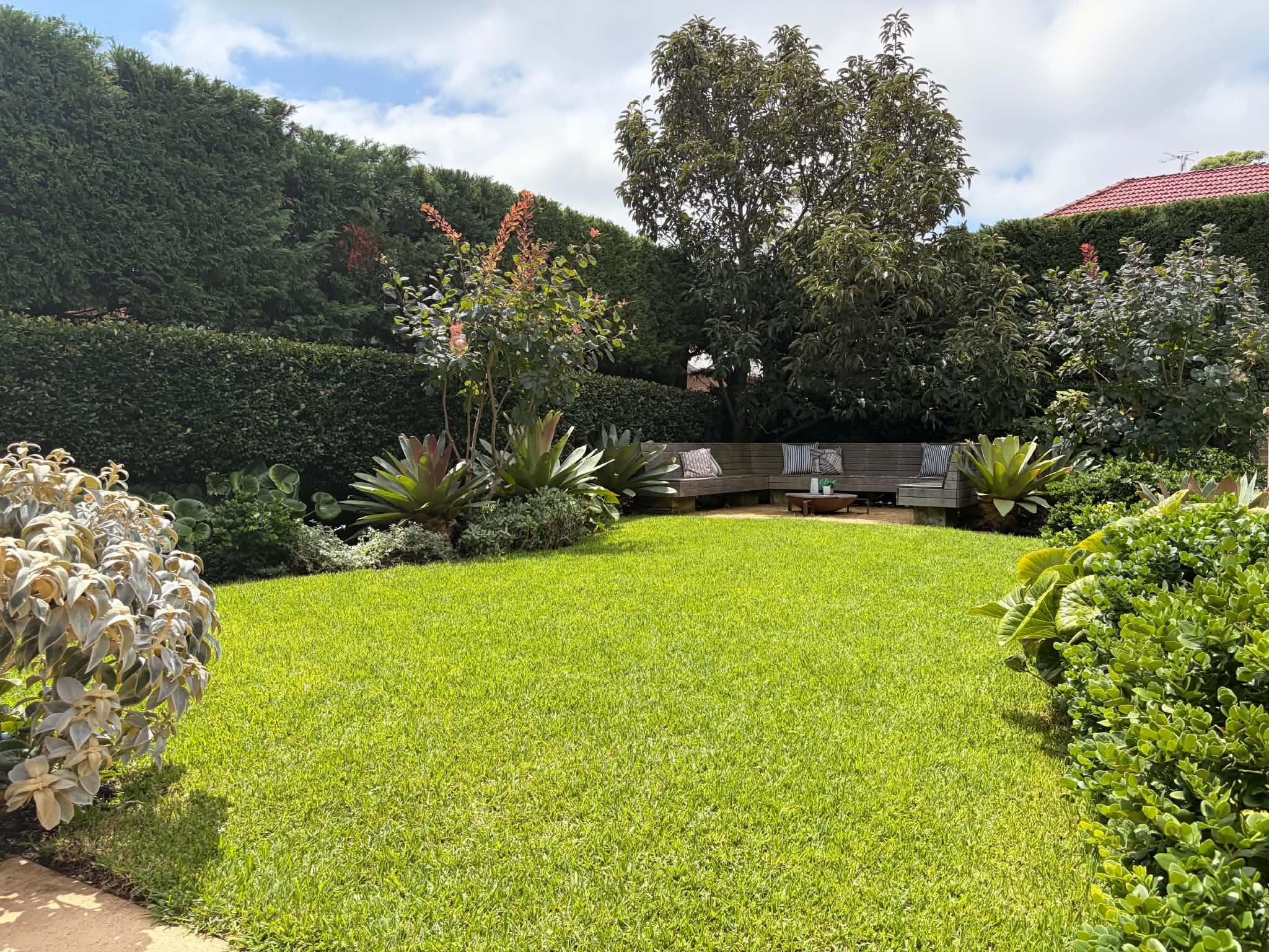 wide-lawn-clipped-hedge-hills-view.jpg