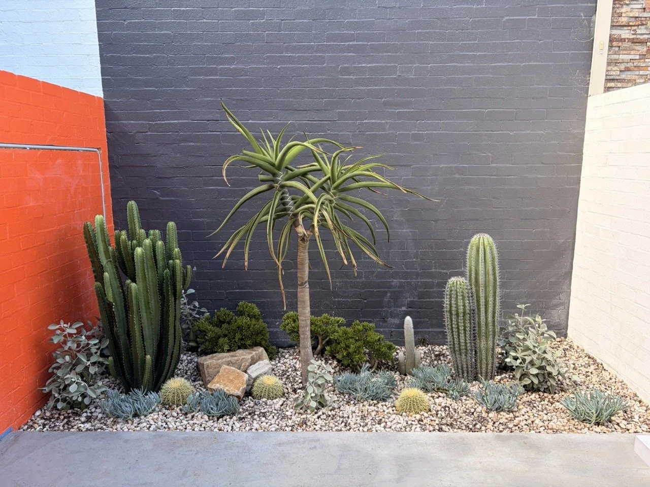 A landscaped garden with wooden pathways, bright yellow and green plants, decorative rocks, and garden ornaments including a red ladybug sculpture and a ladybug-shaped garden ornament.