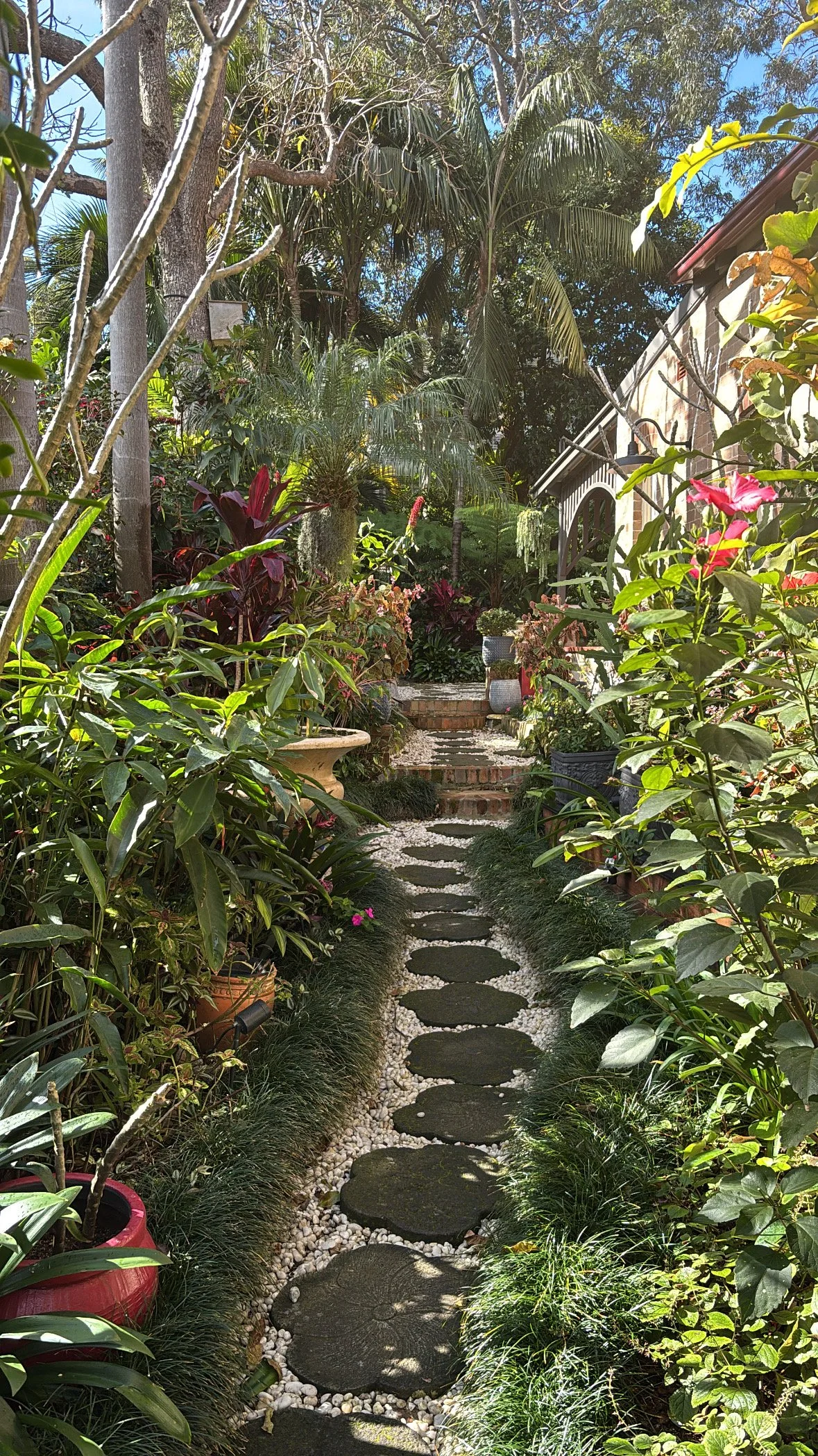 tropical-side-garden-steppers-path.jpg