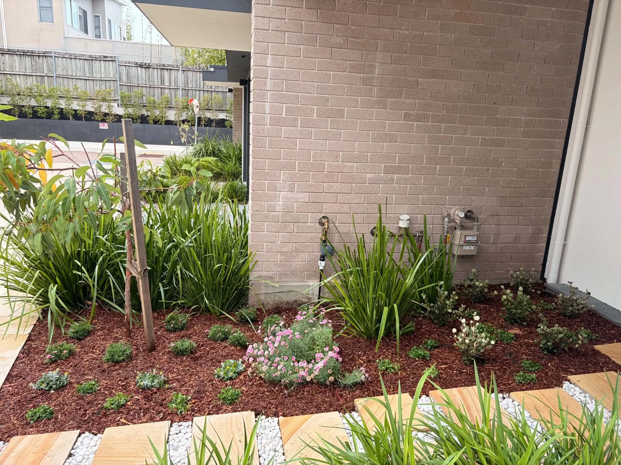 willoughby-entry-mulched-bed-steppers.jpg