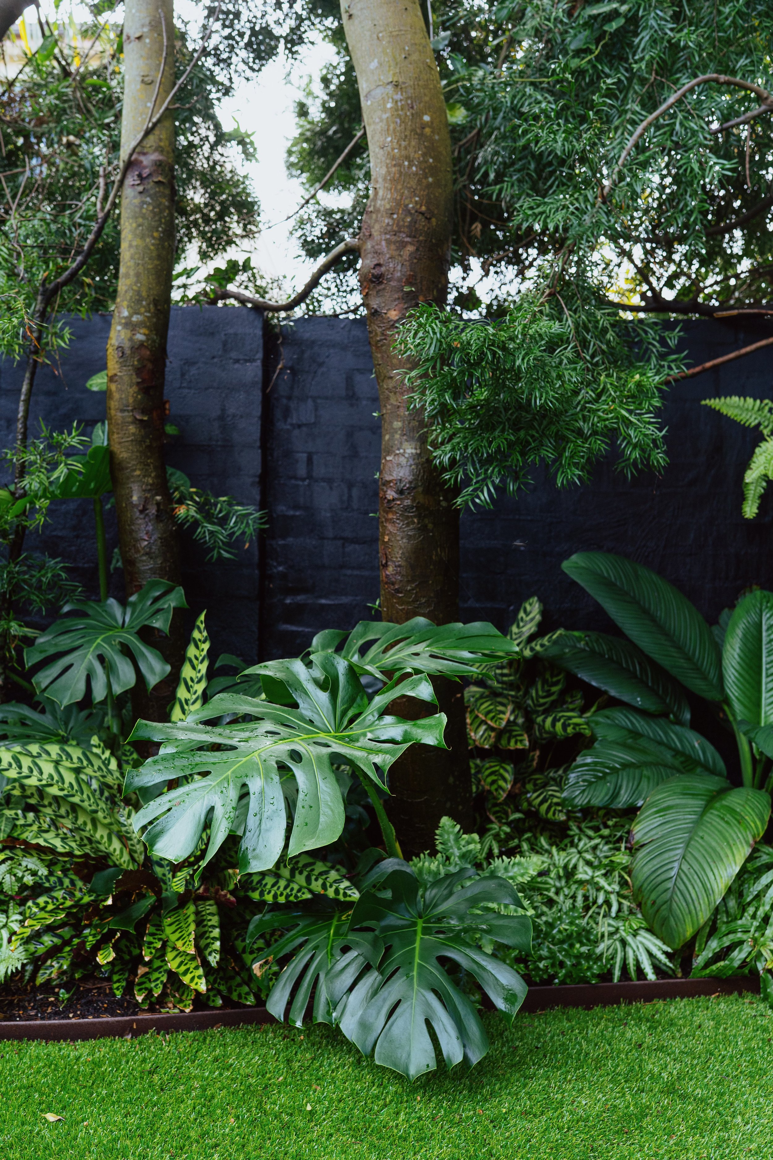 bondi-black-wall-bed-monstera-calathea.jpg