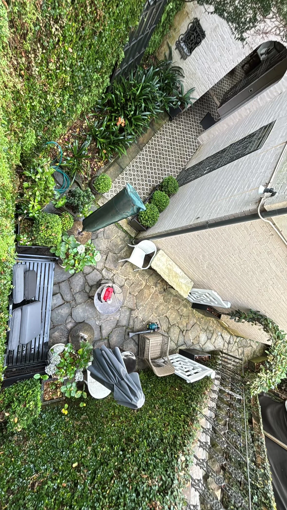 woollahra-courtyard-birdseye-buxus.jpg