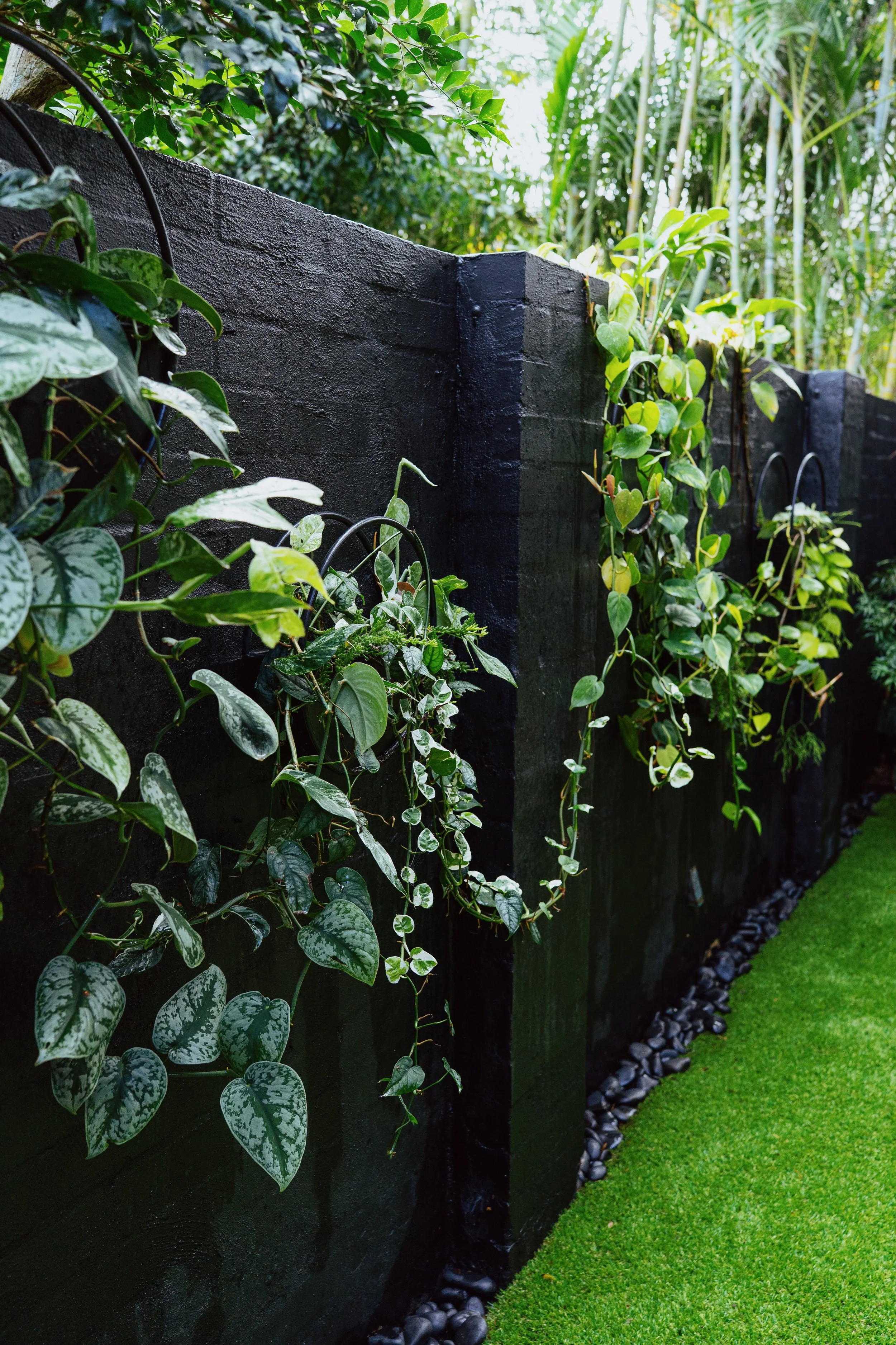 bondi-planter-run-satin-pothos-philodendron.jpg