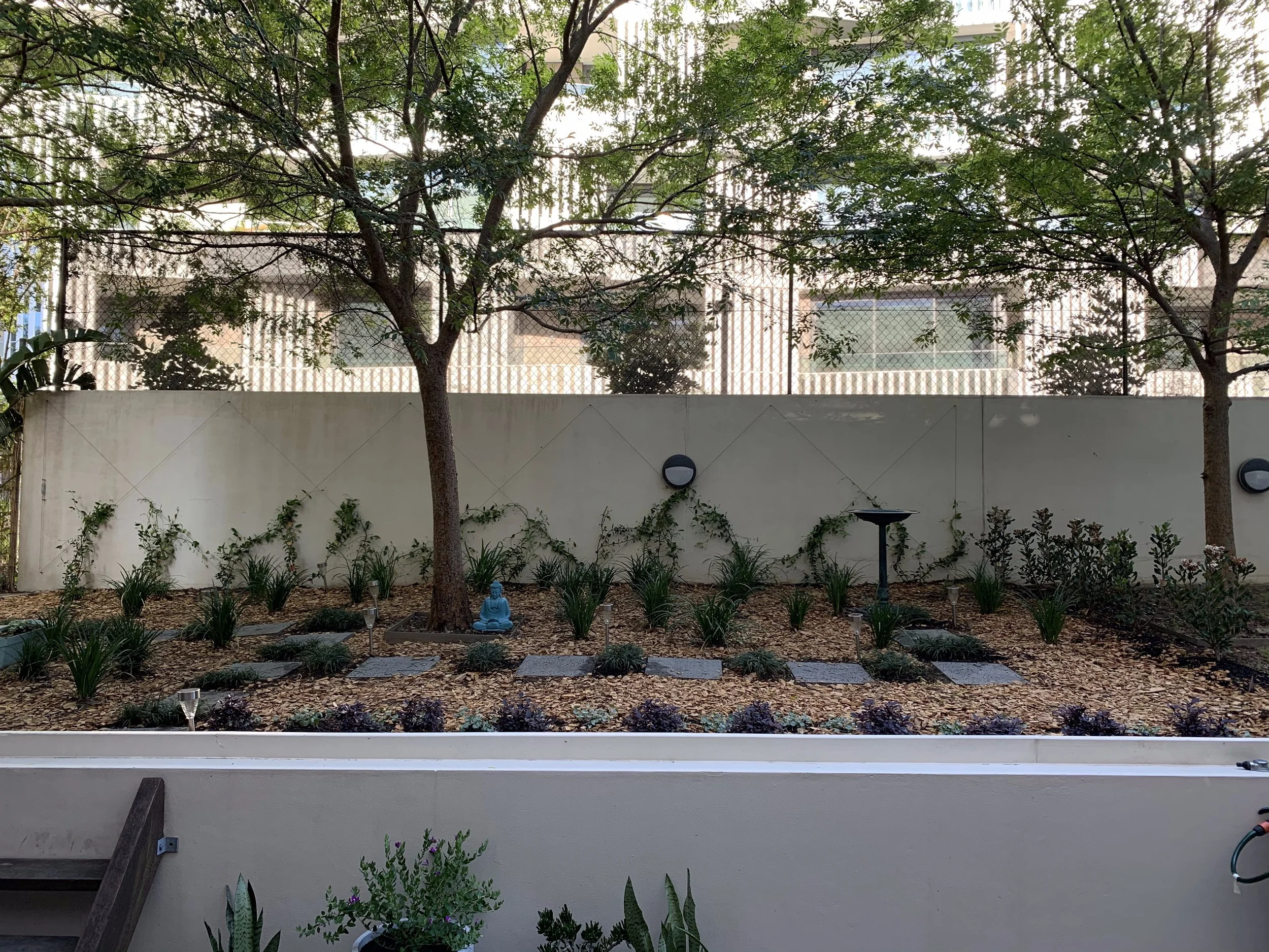 randwick-courtyard-tree-buddha-wide-angle.jpg