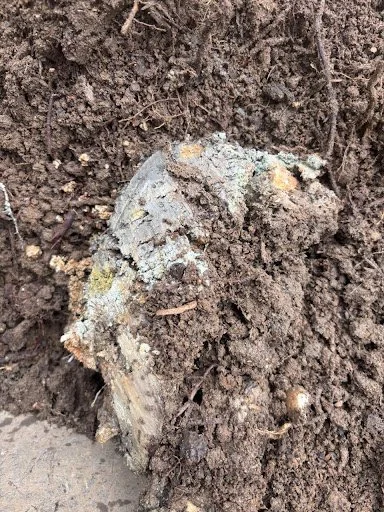 A lump of Heavy clay unearthed during excavation  — no machinery could access the site