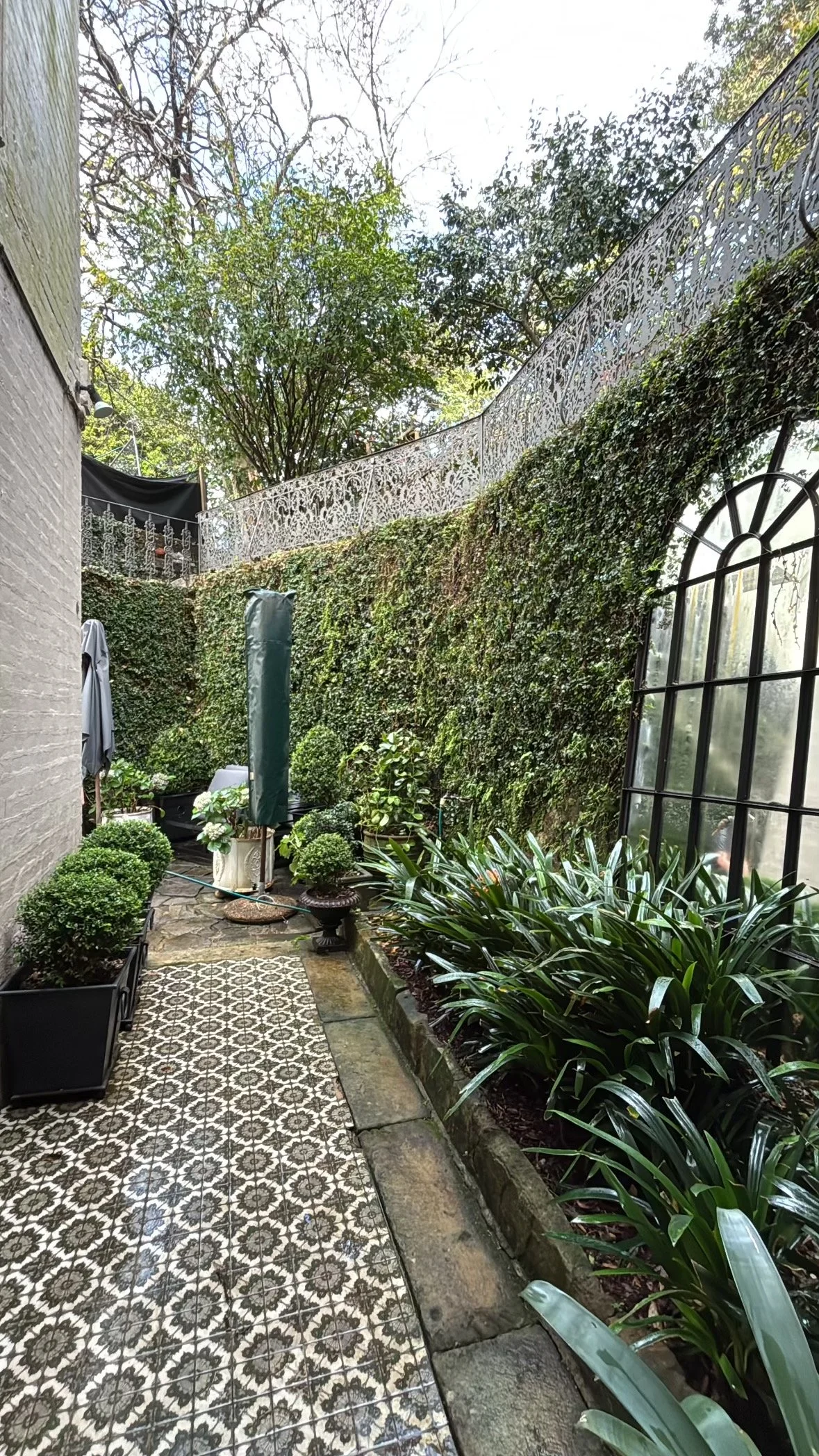 woollahra-tile-path-ivy-walls-after.jpg