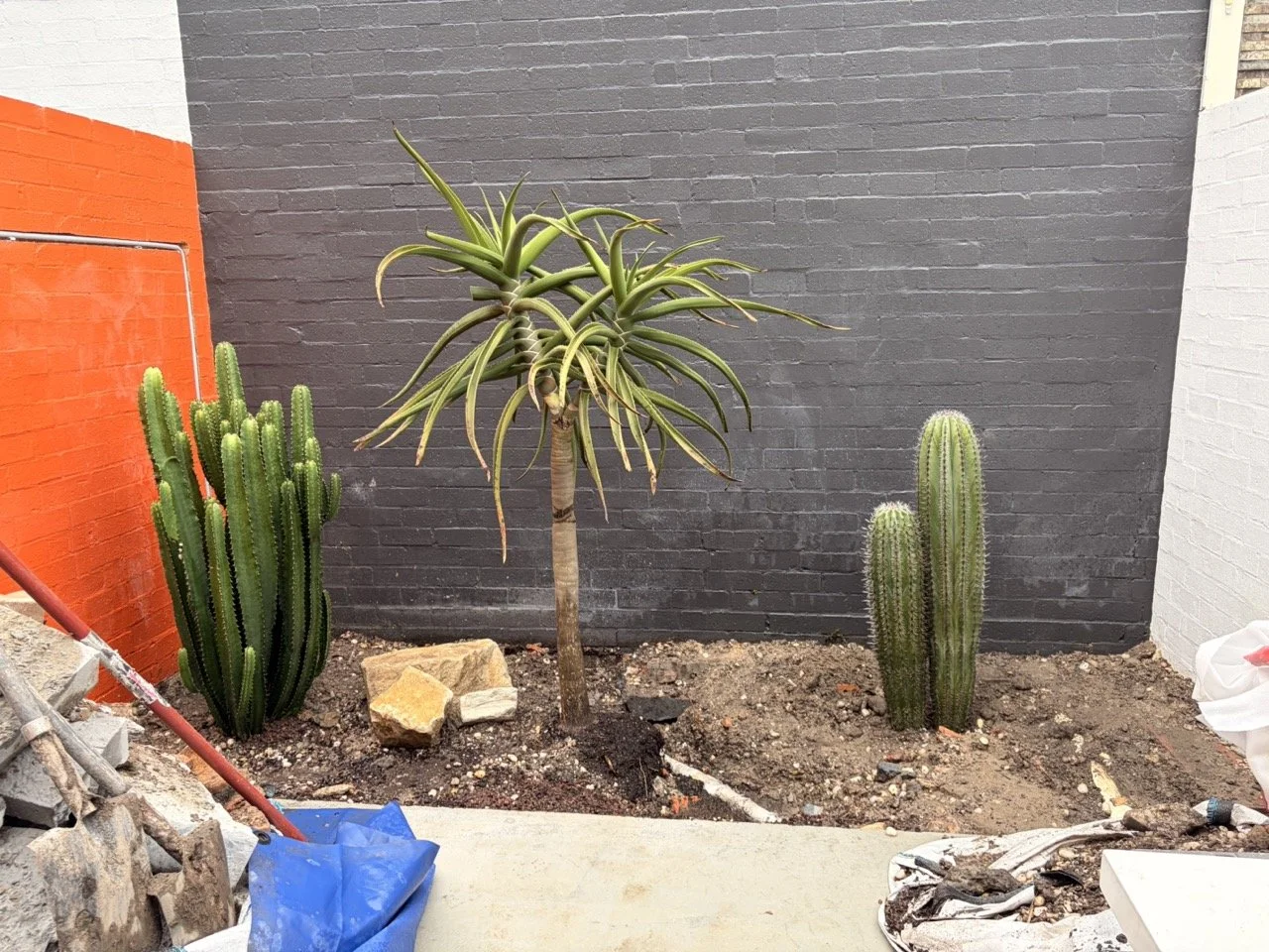 surry-hills-bed-layout-front-during.jpg