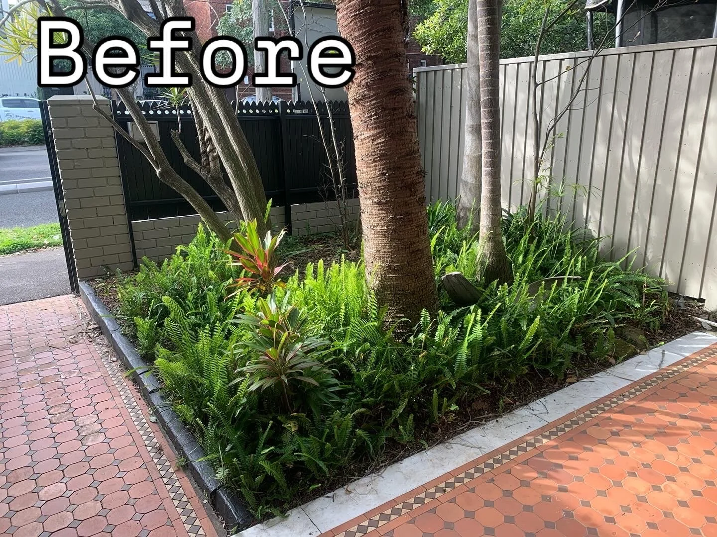 centennial-park-front-bed-overgrown-before.jpg