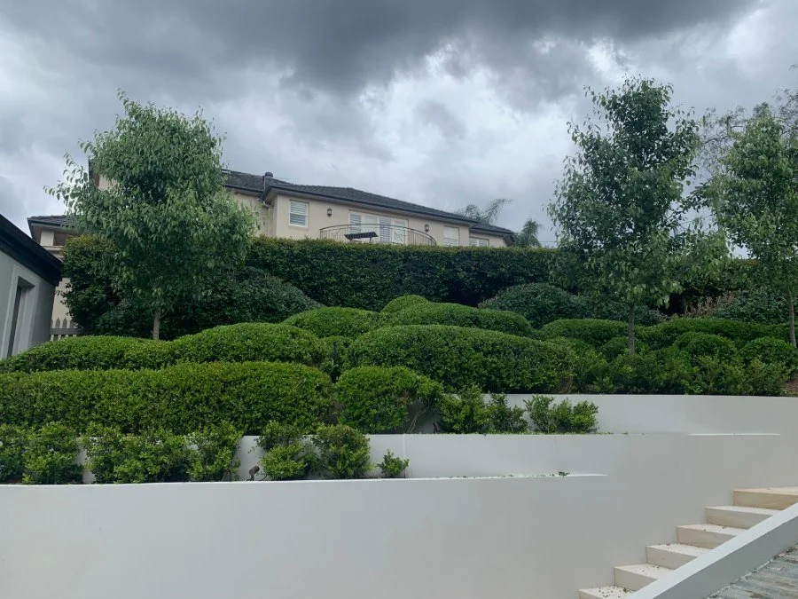 Complete Garden Coordination