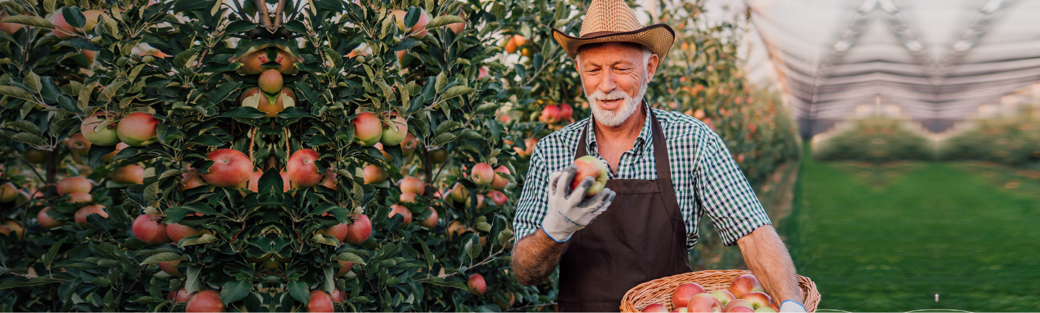 How Farmer Mac Serves Rural Markets