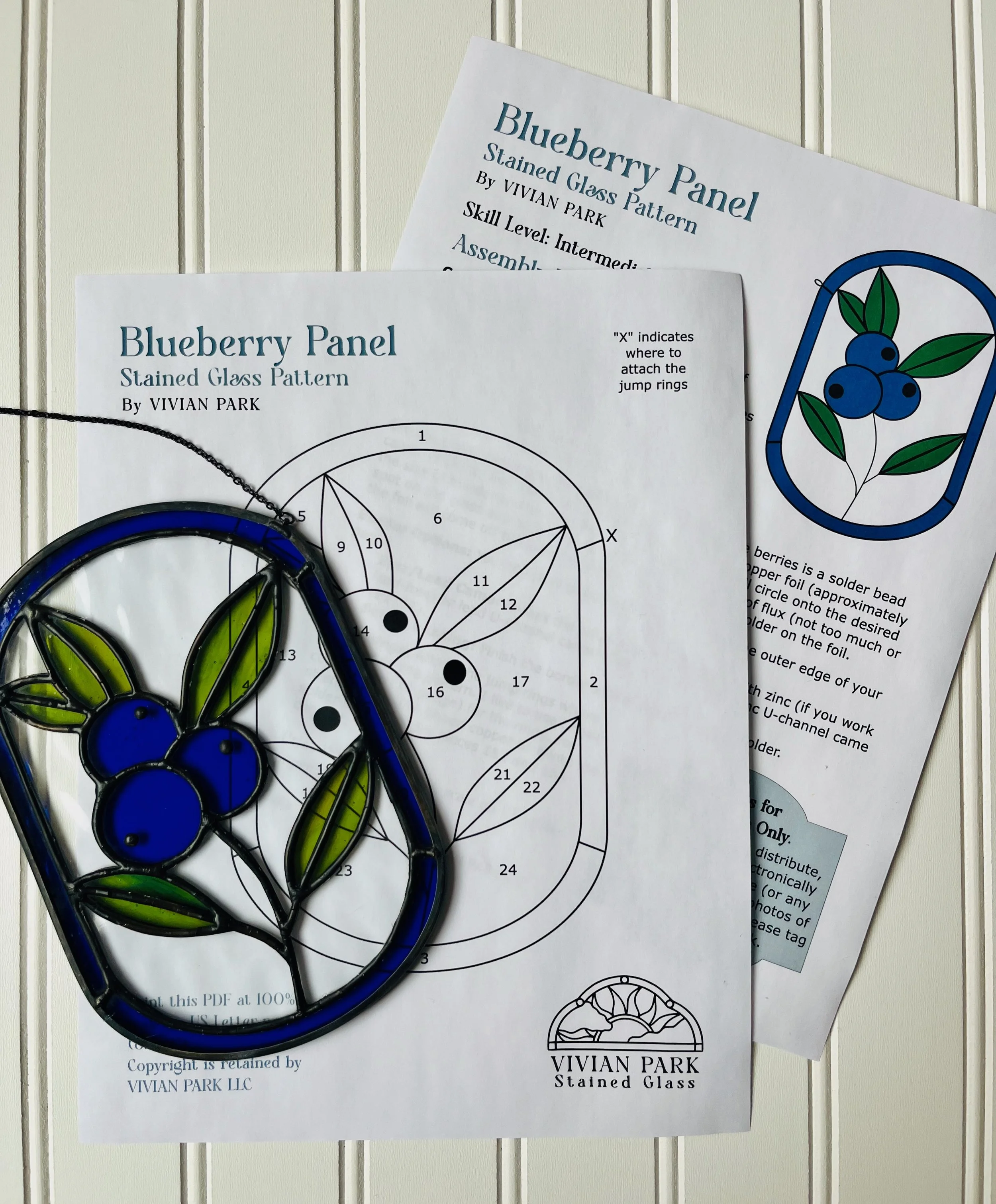 Blueberry Panel Cricut SVG  Pattern