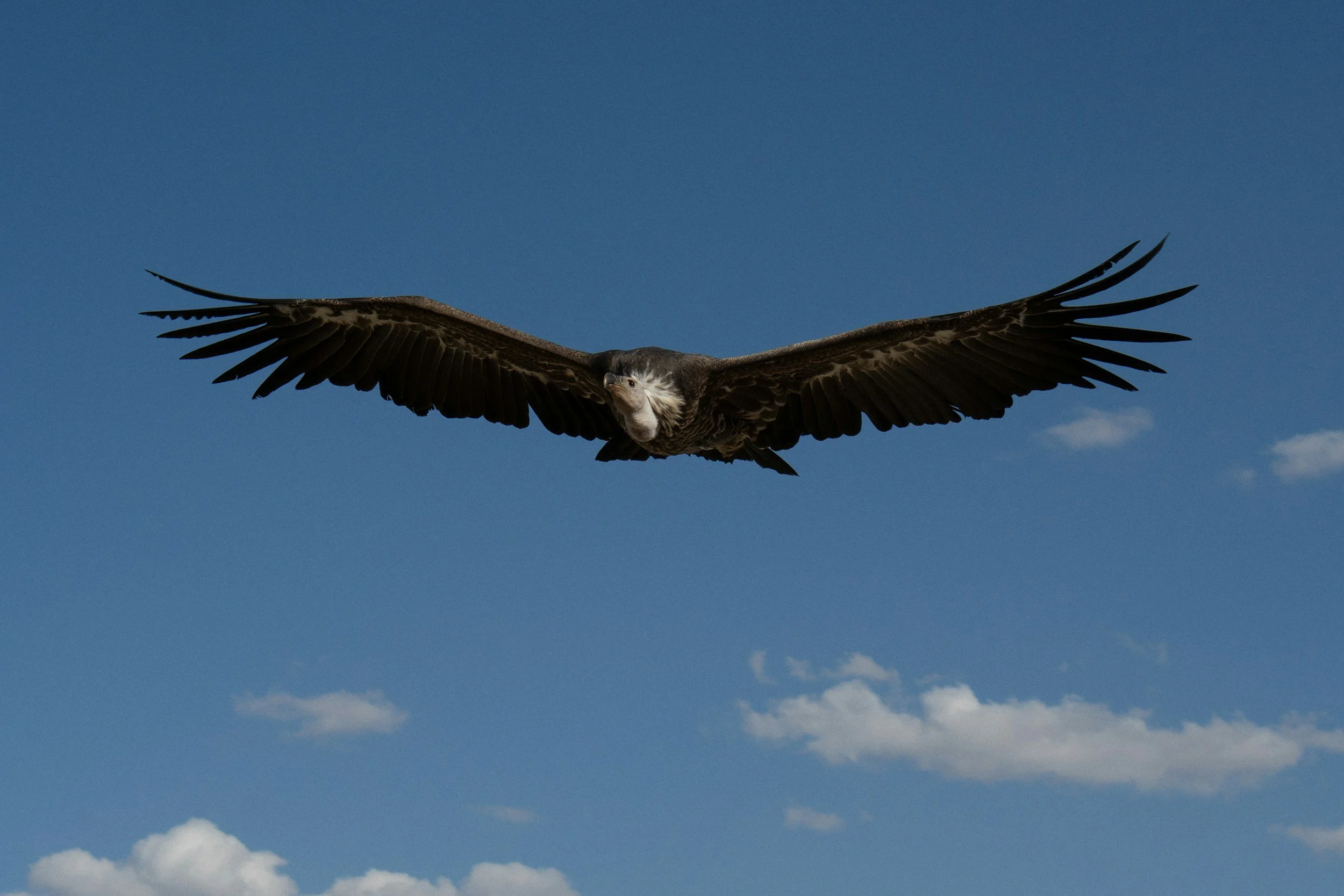 What is Healing, Really?