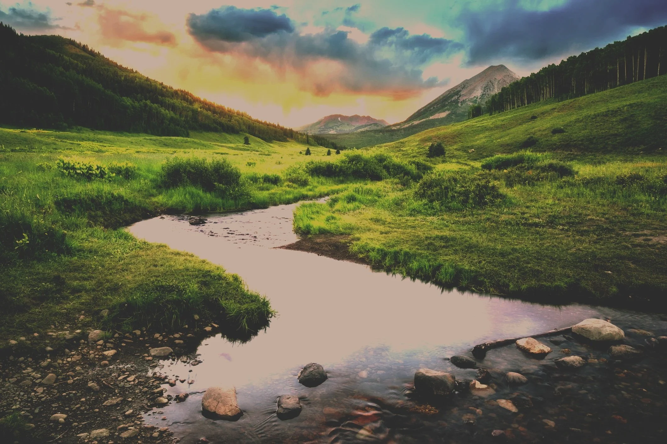 Mission-Driven Travel Consulting