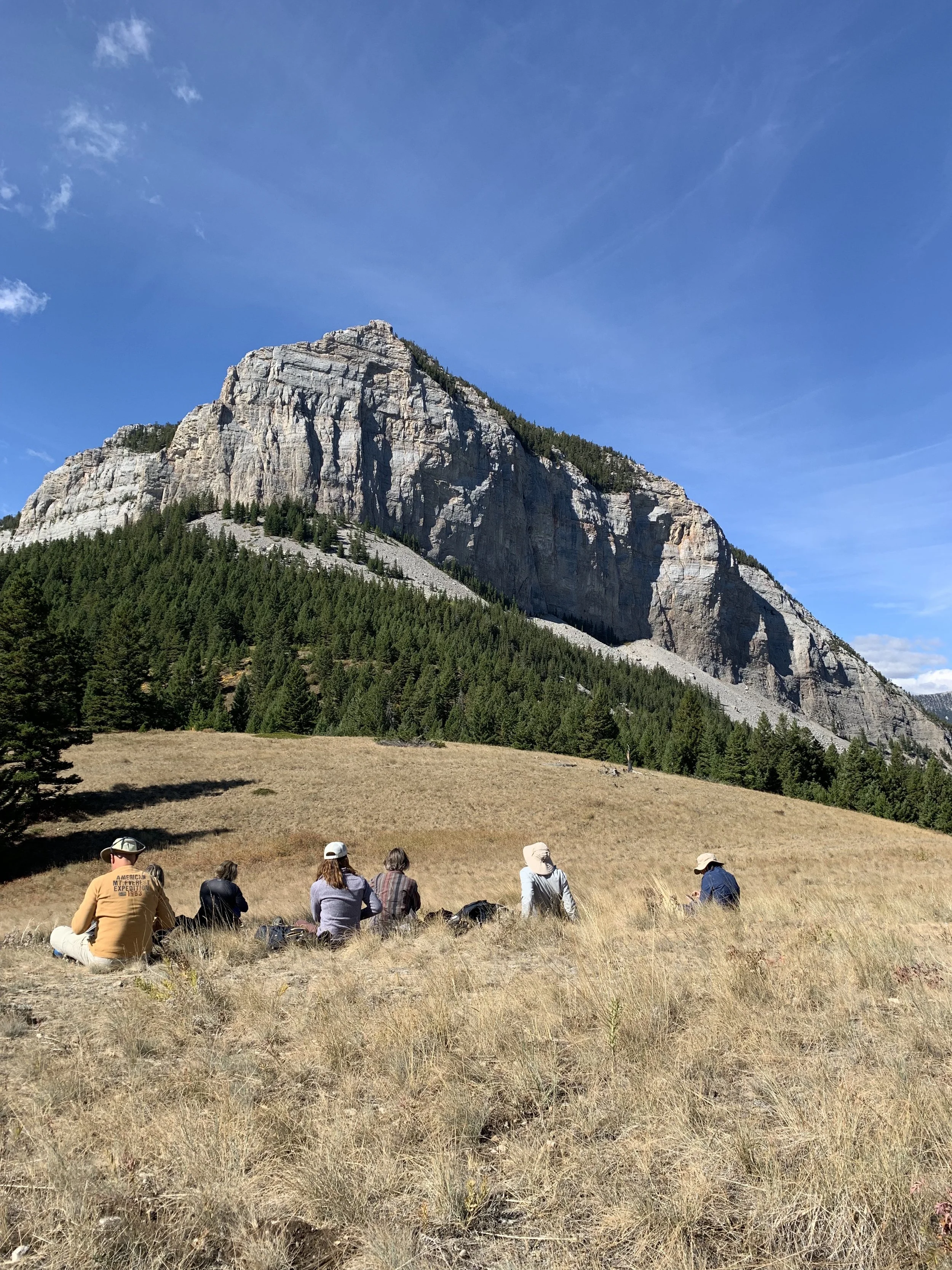 Donor travel for stewardship