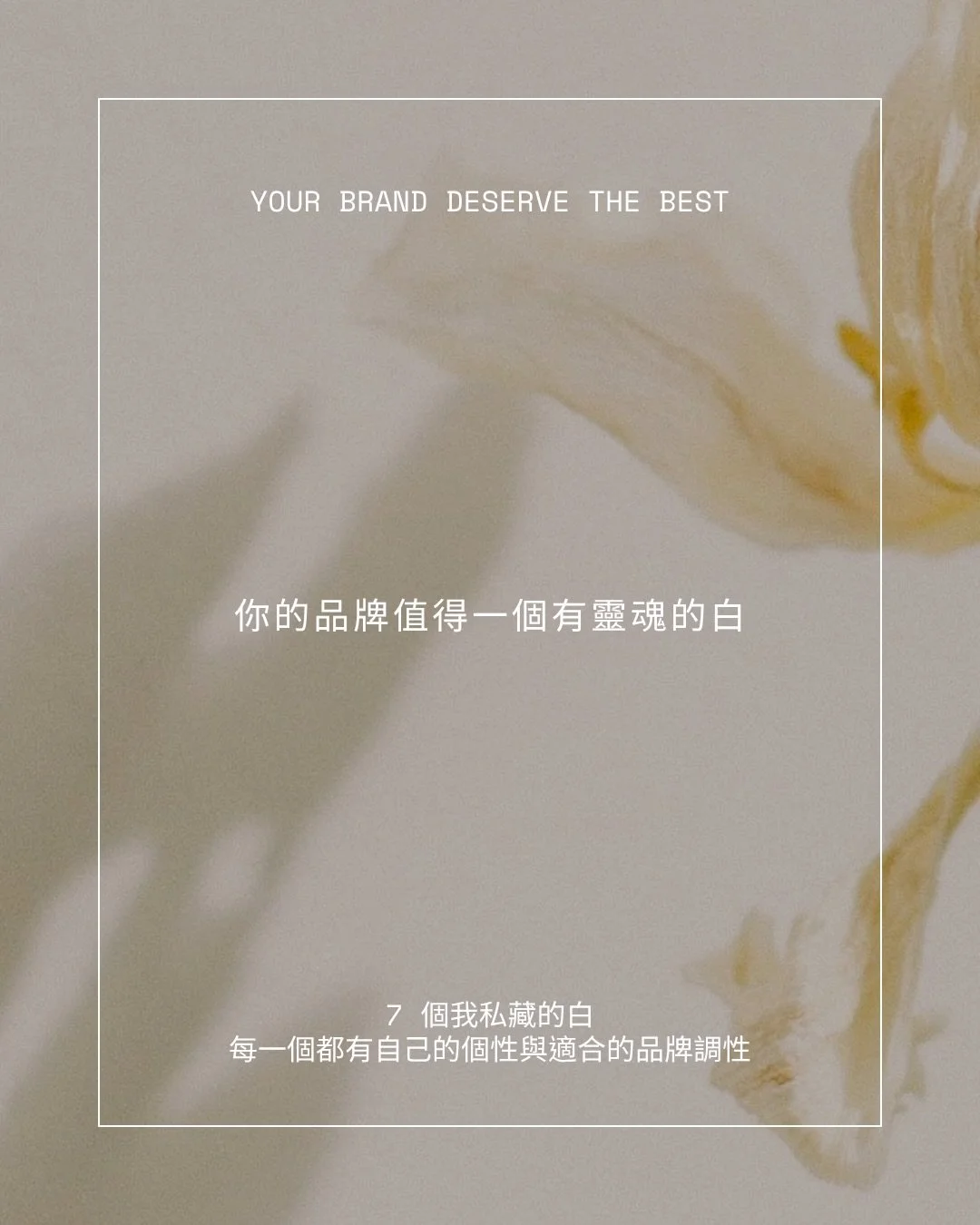 每次幫案主選背景色，最常被問到的就是「白色有差嗎？」
有差有差，而且差很多🥹

你有沒有看過某個網站，進去的瞬間就覺得好舒服 ☁️
但說不上來為什麼？
很多時候那個「說不清楚的感覺」，其實是背景色在默默工作 🤍

白色不只有一種，整理了 7 個我私藏的白，每一個都住著不同的品牌個性，這篇整理好久，需要幫我轉發分享吧？🙌🏻😆

喜歡的話之後會再分享很多人愛的大地色、米色等等🤎