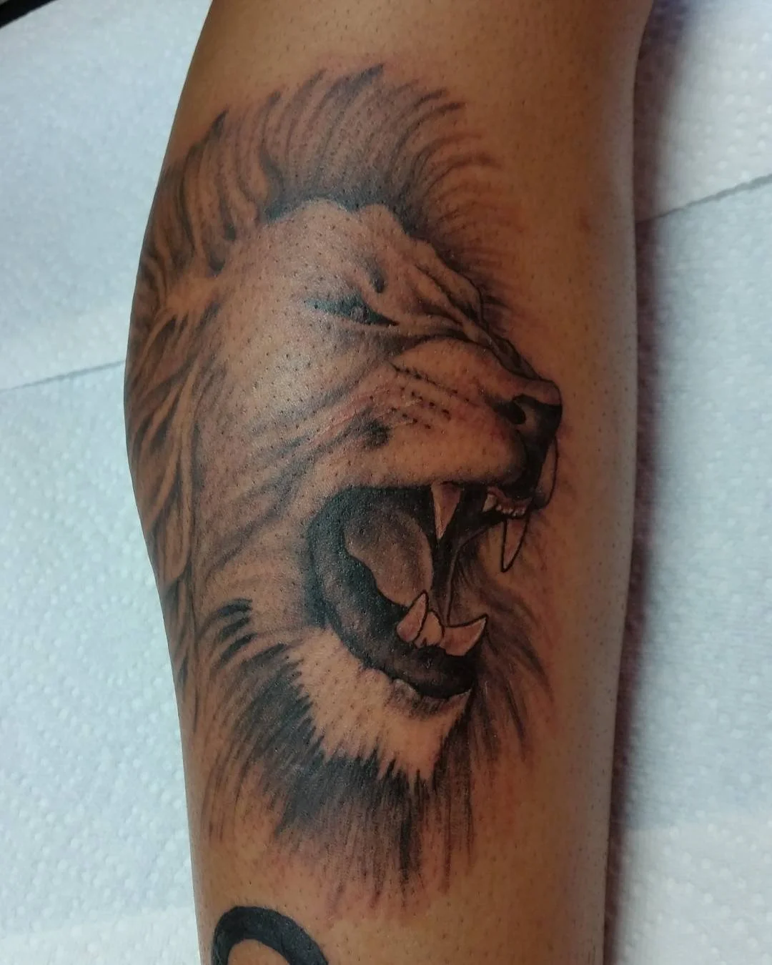 Tattoo of a roaring lion's face on a person's arm.