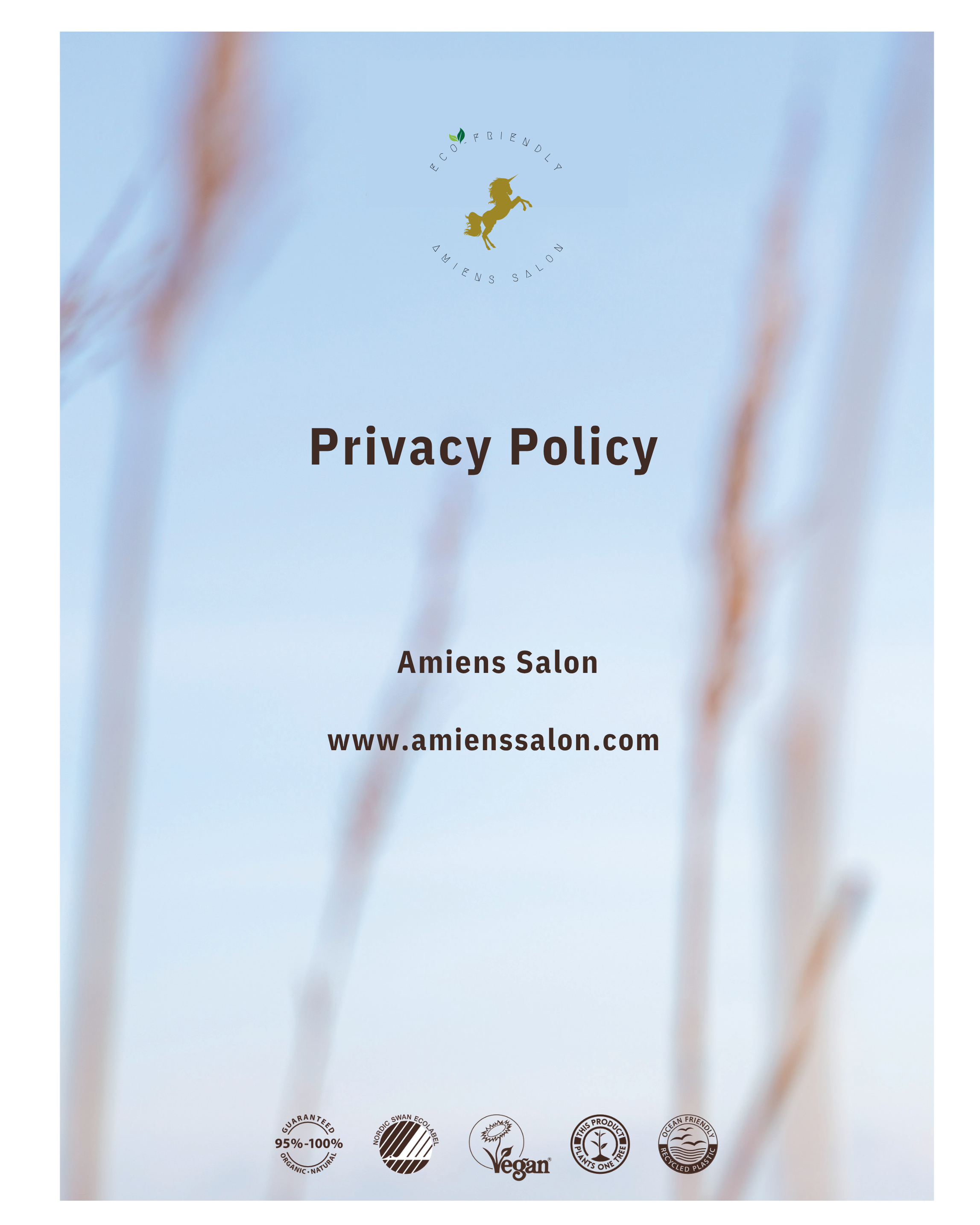Privacy Policy- Ameins Salon 